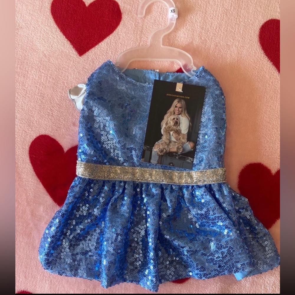 Sparkling Blue Sequin Pet Dress with Silver Accents